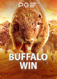 รีวิวสล็อต xบทความ slotxo จากค่าย Spade Gaming